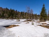 Spätwinterliche Landschaft im Uferbereich des Frillensee